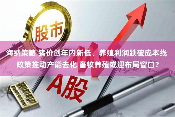 海纳策略 猪价创年内新低、养殖利润跌破成本线 政策推动产能去化 畜牧养殖或迎布局窗口？