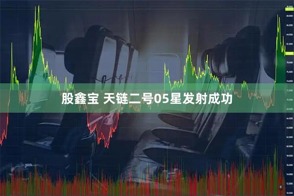 股鑫宝 天链二号05星发射成功
