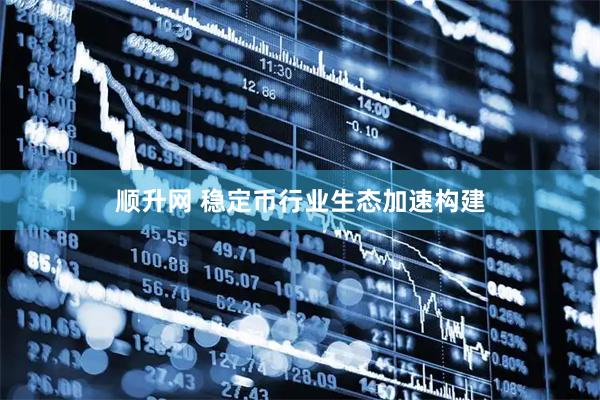 顺升网 稳定币行业生态加速构建
