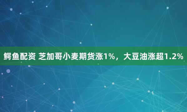 鳄鱼配资 芝加哥小麦期货涨1%，大豆油涨超1.2%