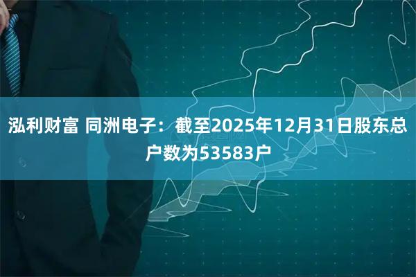 泓利财富 同洲电子：截至2025年12月31日股东总户数为53583户