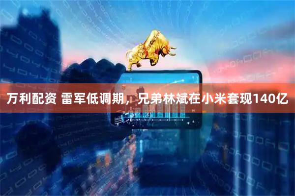 万利配资 雷军低调期，兄弟林斌在小米套现140亿