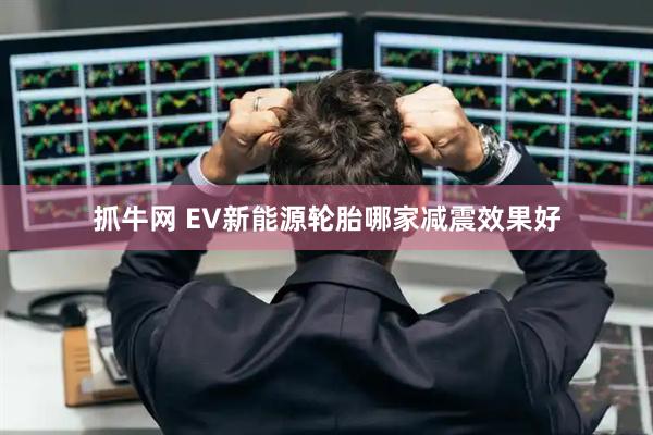抓牛网 EV新能源轮胎哪家减震效果好