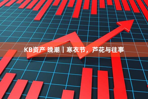 KB资产 晚潮｜寒衣节，芦花与往事