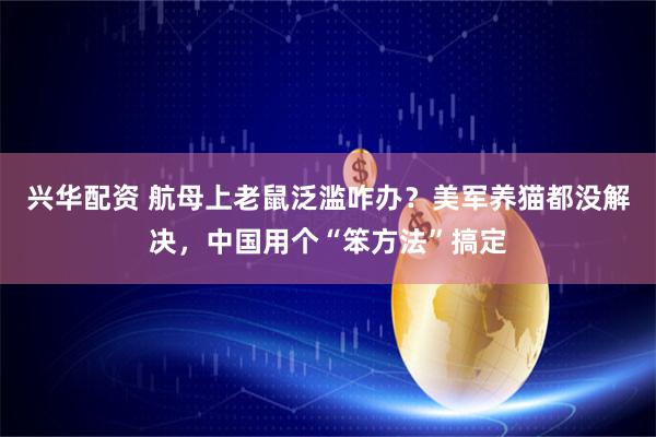 兴华配资 航母上老鼠泛滥咋办？美军养猫都没解决，中国用个“笨方法”搞定